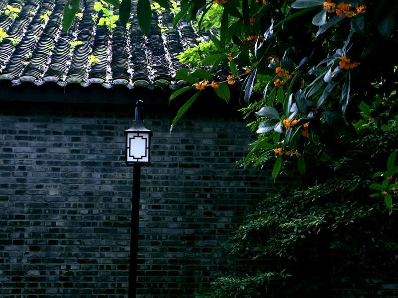 成都飞大连，从火锅到海鲜，跨越两千公里的山海之约-第3张图片-四川省中国青年旅行社